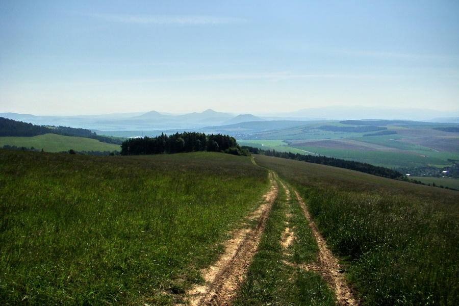 Hrebeňovka Bachurne a Braniska (Branisko)