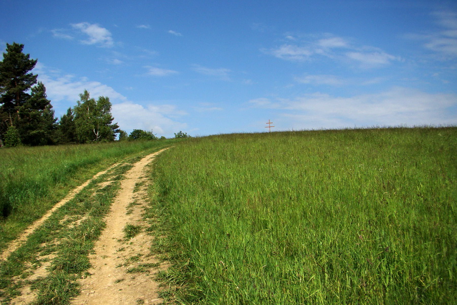 Hrebeňovka Bachurne a Braniska (Branisko)