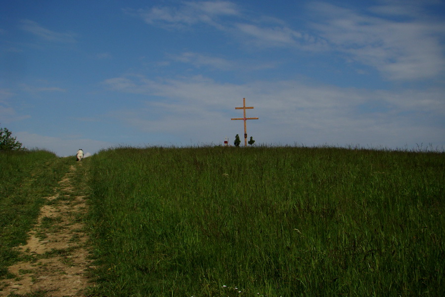 Hrebeňovka Bachurne a Braniska (Branisko)