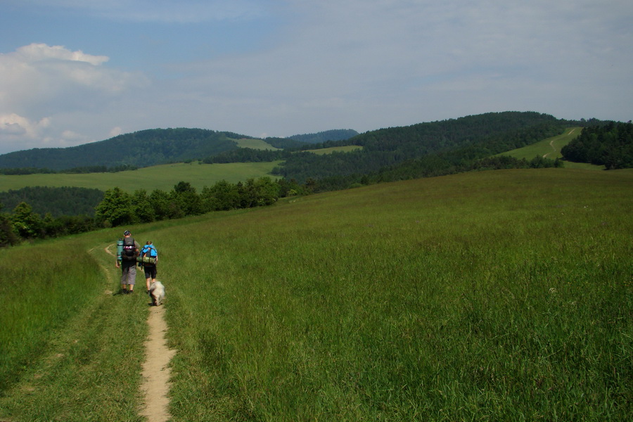 Hrebeňovka Bachurne a Braniska (Branisko)