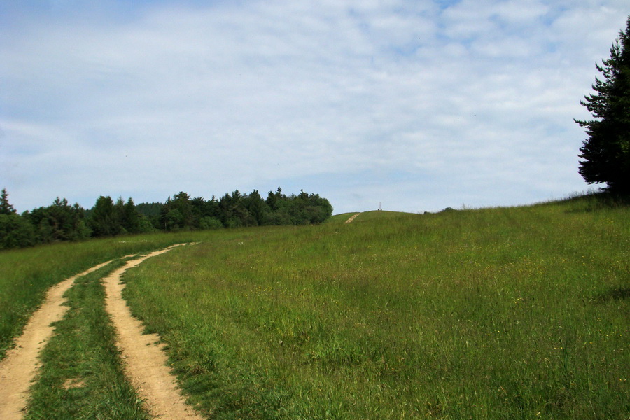 Hrebeňovka Bachurne a Braniska (Branisko)