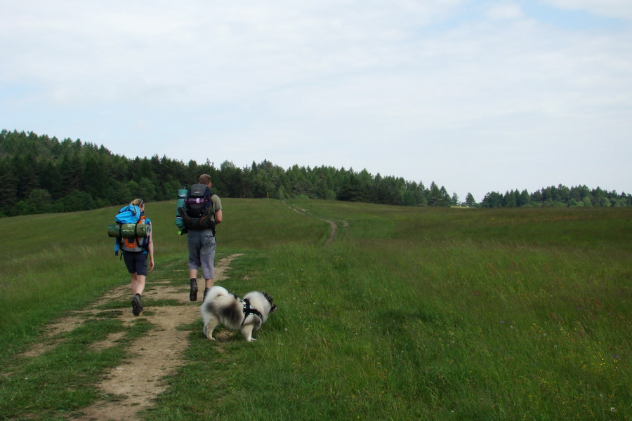 Hrebeňovka Bachurne a Braniska (Branisko)