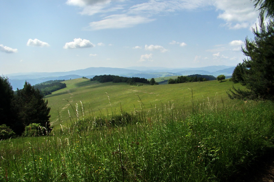 Hrebeňovka Bachurne a Braniska (Branisko)