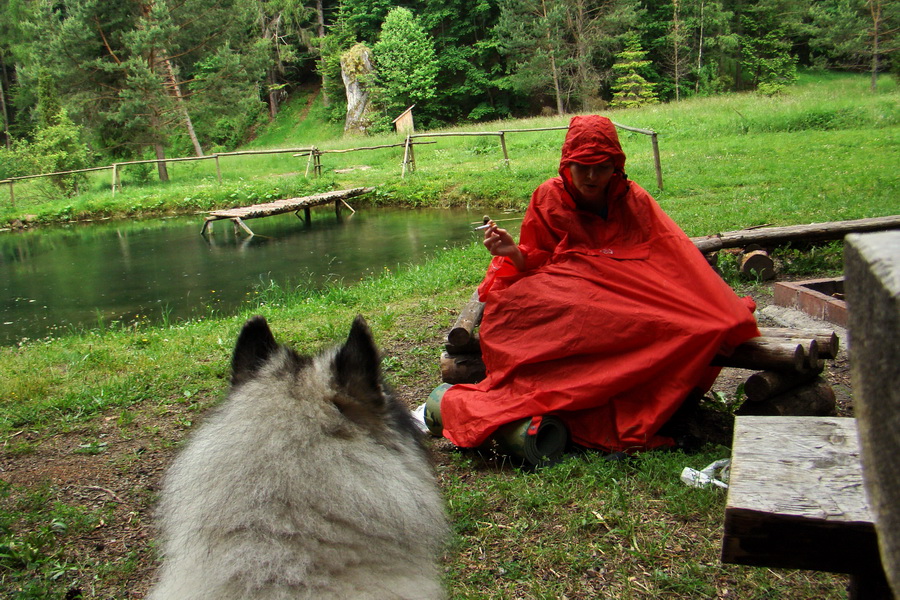 Hrebeňovka Bachurne a Braniska (Branisko)