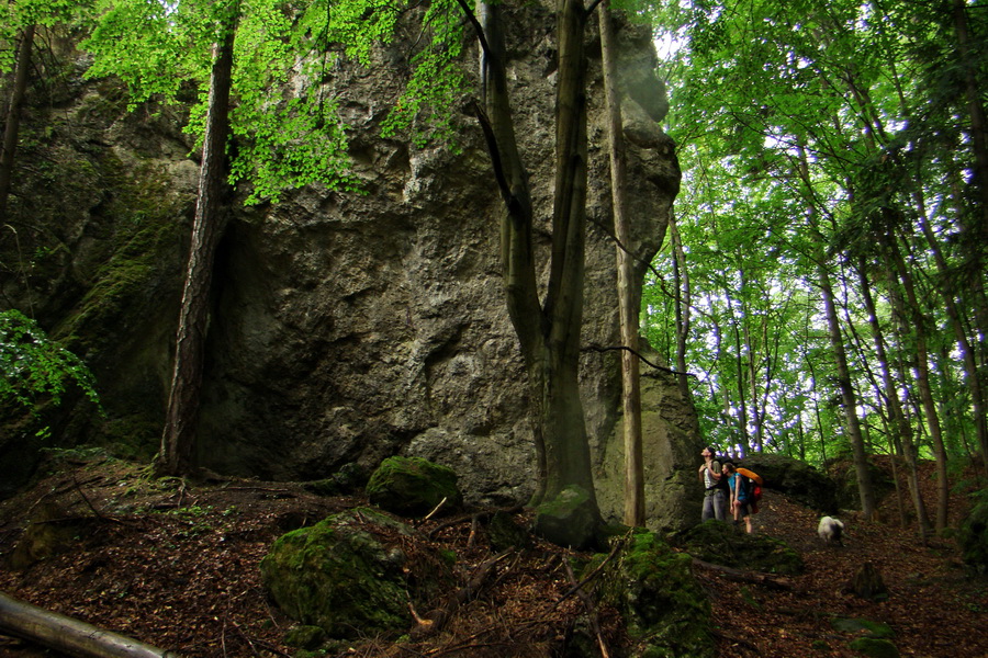 Hrebeňovka Bachurne a Braniska (Branisko)