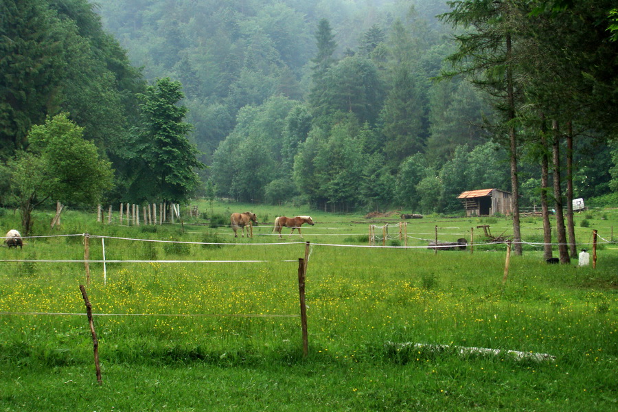 Hrebeňovka Bachurne a Braniska (Branisko)