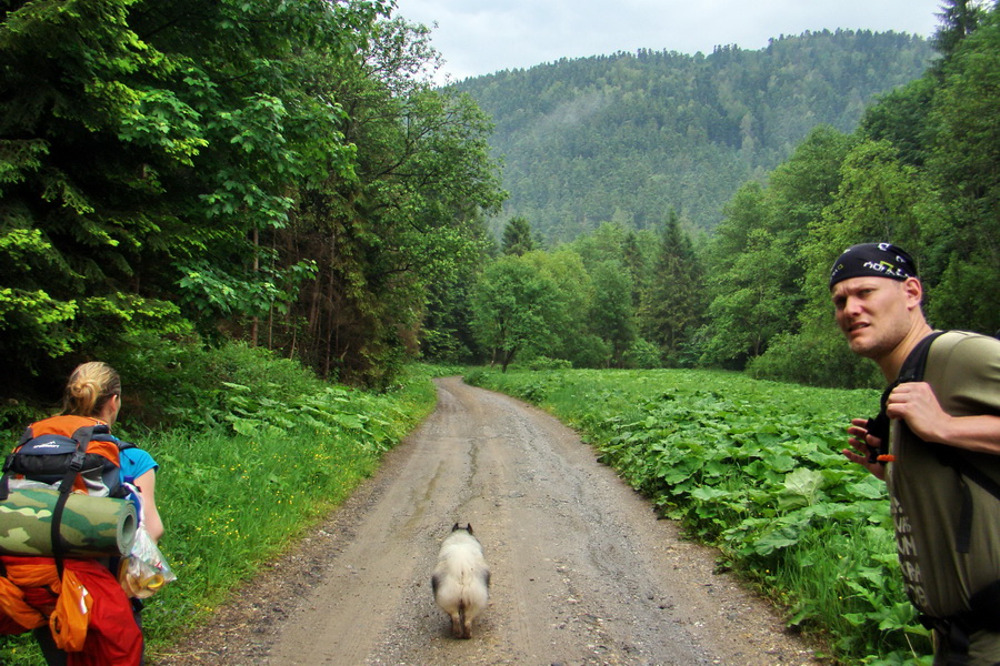 Hrebeňovka Bachurne a Braniska (Branisko)