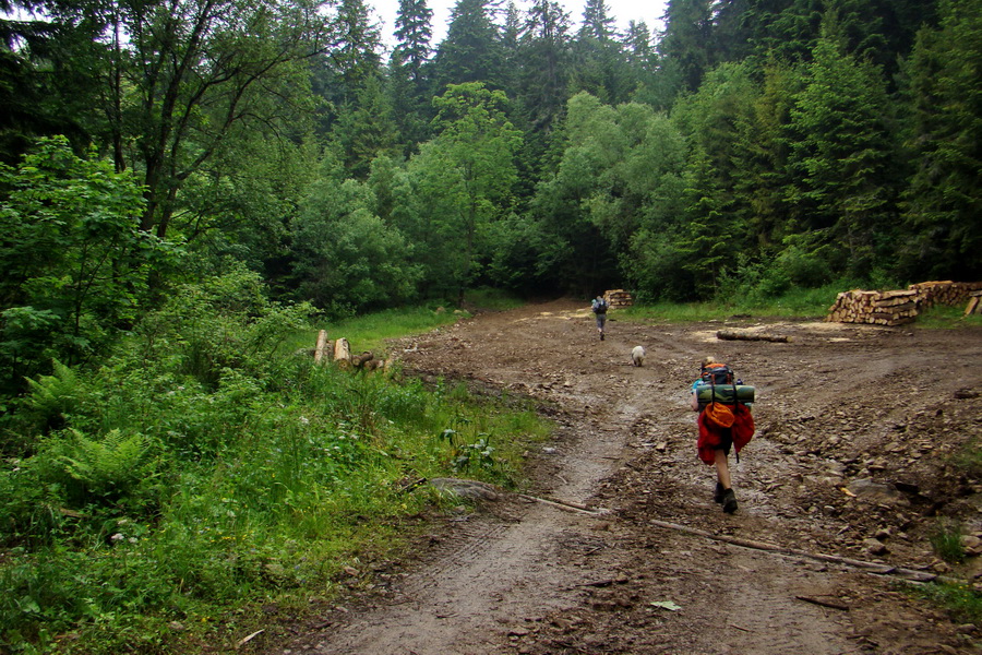 Hrebeňovka Bachurne a Braniska (Branisko)