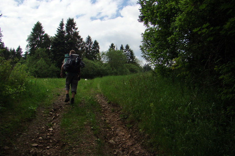 Hrebeňovka Bachurne a Braniska (Branisko)