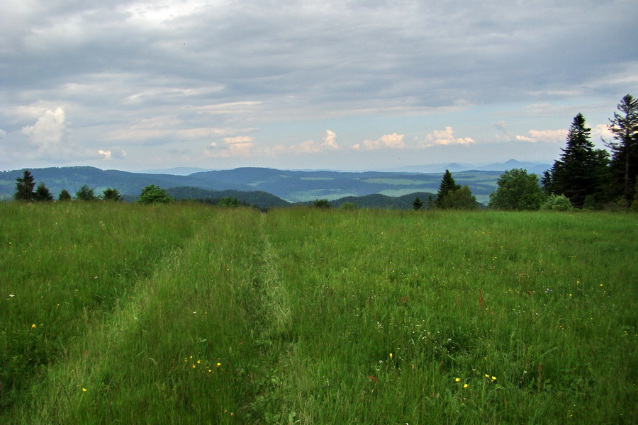 Hrebeňovka Bachurne a Braniska (Branisko)