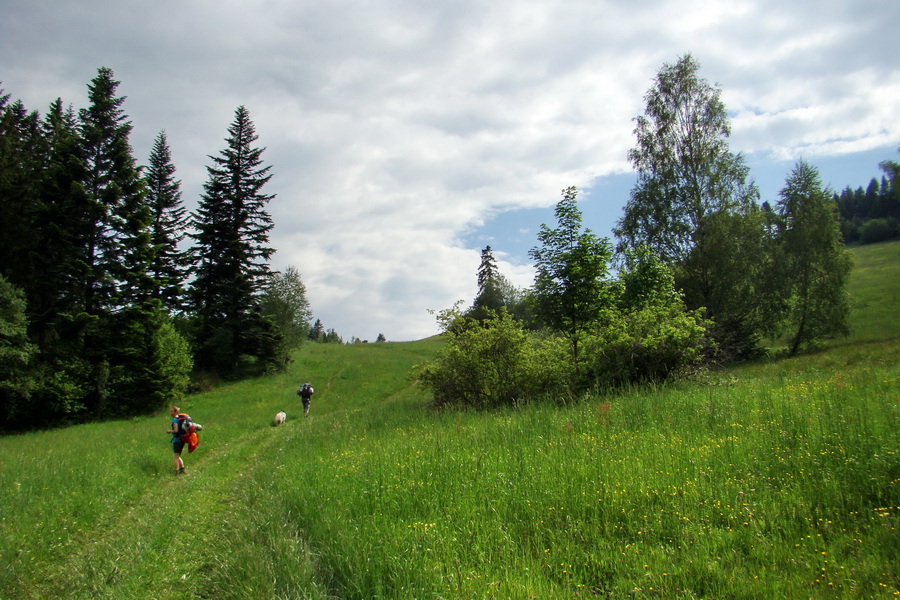 Hrebeňovka Bachurne a Braniska (Branisko)