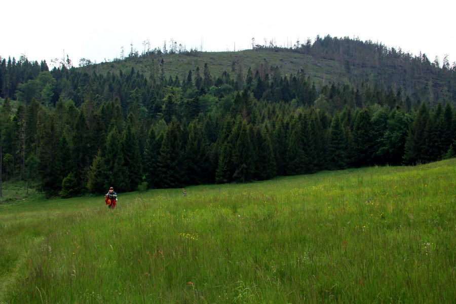 Hrebeňovka Bachurne a Braniska (Branisko)