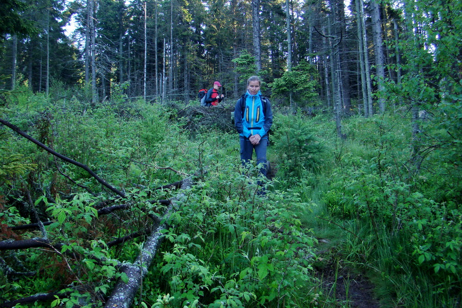 Hrebeňovka Bachurne a Braniska - 2. deň (Branisko)