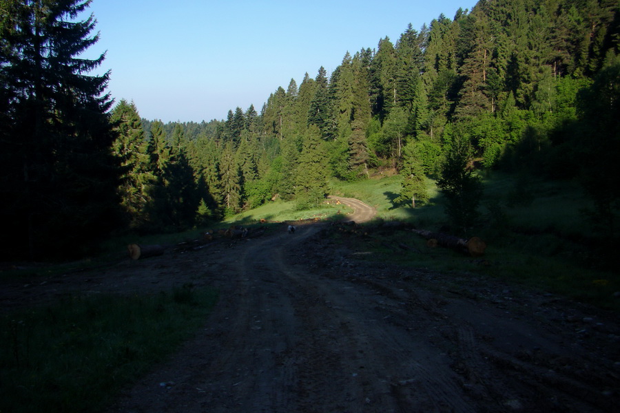 Hrebeňovka Bachurne a Braniska - 2. deň (Branisko)