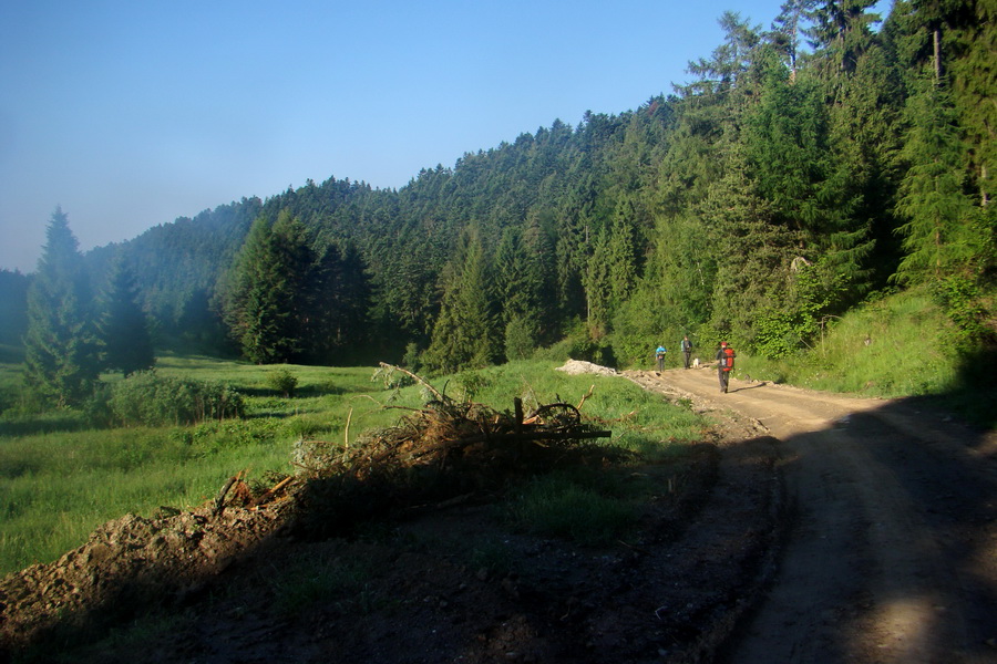 Hrebeňovka Bachurne a Braniska - 2. deň (Branisko)