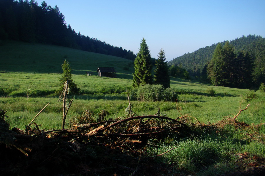 Hrebeňovka Bachurne a Braniska - 2. deň (Branisko)