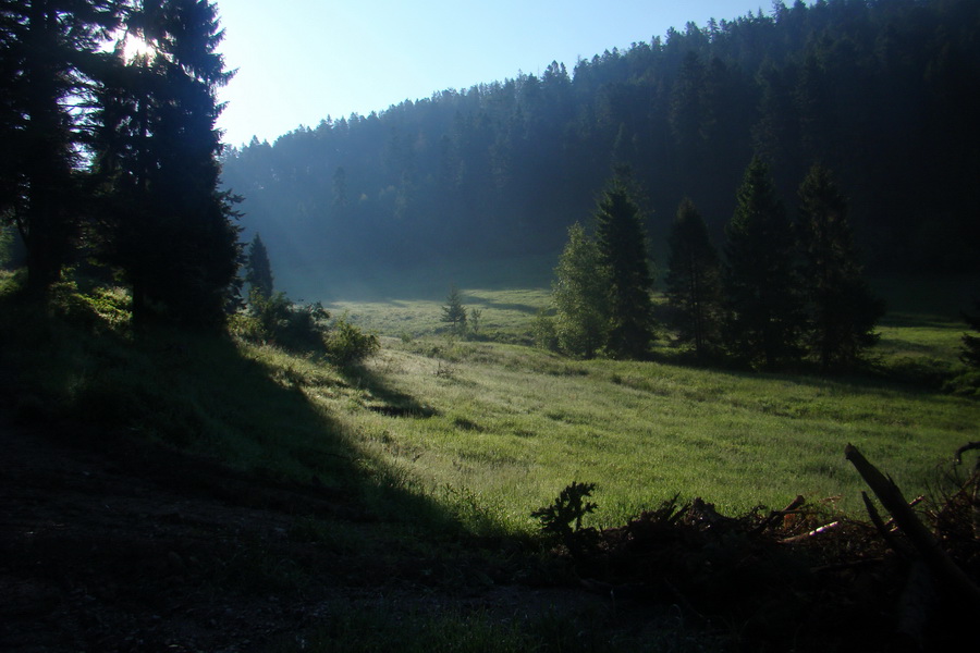 Hrebeňovka Bachurne a Braniska - 2. deň (Branisko)