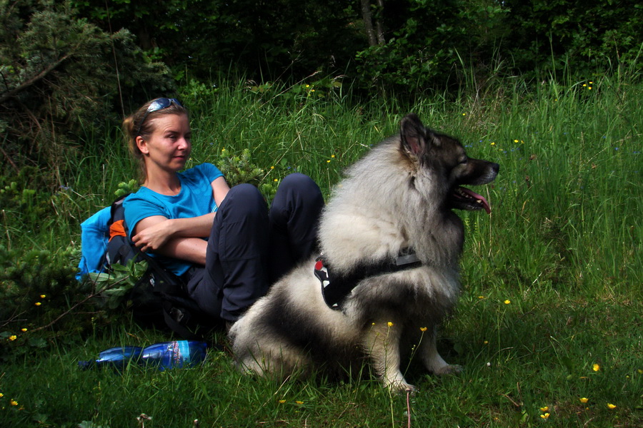 Hrebeňovka Bachurne a Braniska - 2. deň (Branisko)