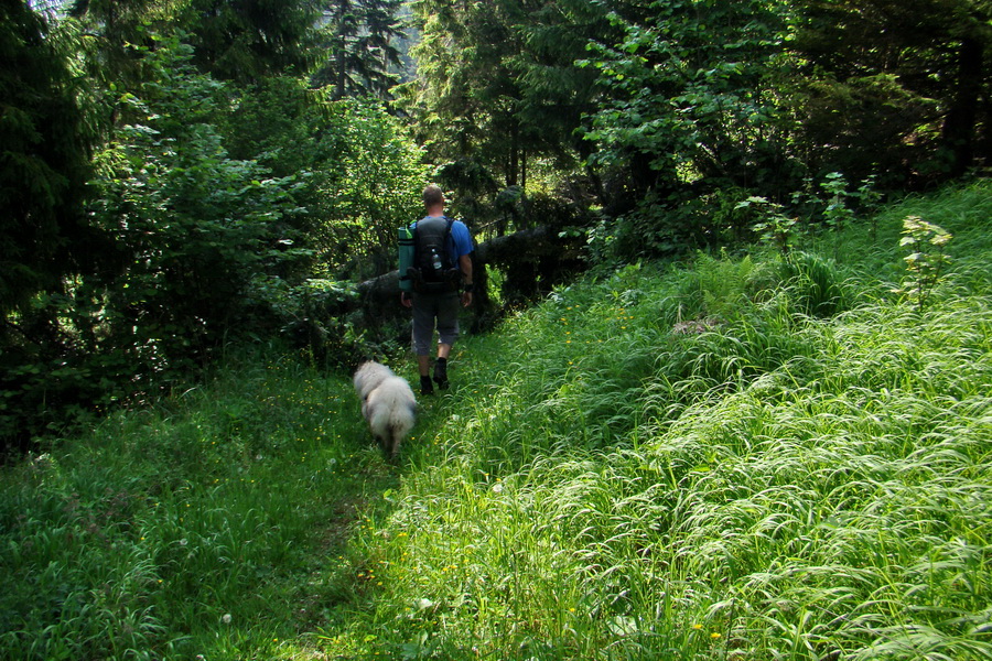 Hrebeňovka Bachurne a Braniska - 2. deň (Branisko)