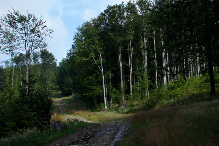 Kojšovská hoľa zo Zlatej Idky (Volovské vrchy)