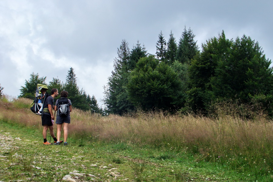 Kojšovská hoľa zo Zlatej Idky (Volovské vrchy)