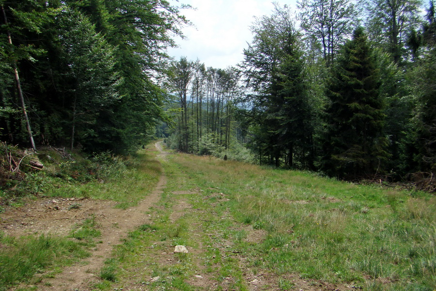 Kojšovská hoľa zo Zlatej Idky (Volovské vrchy)