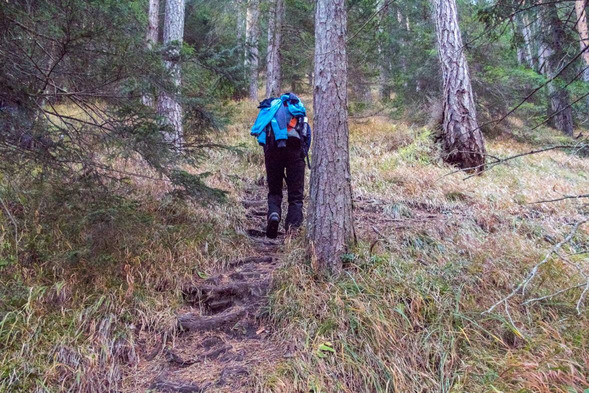 Krakova hoľa z Demänovskej jaskyne slobody (Nízke Tatry)