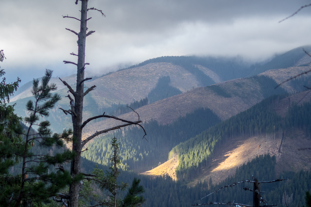 Krakova hoľa z Demänovskej jaskyne slobody (Nízke Tatry)