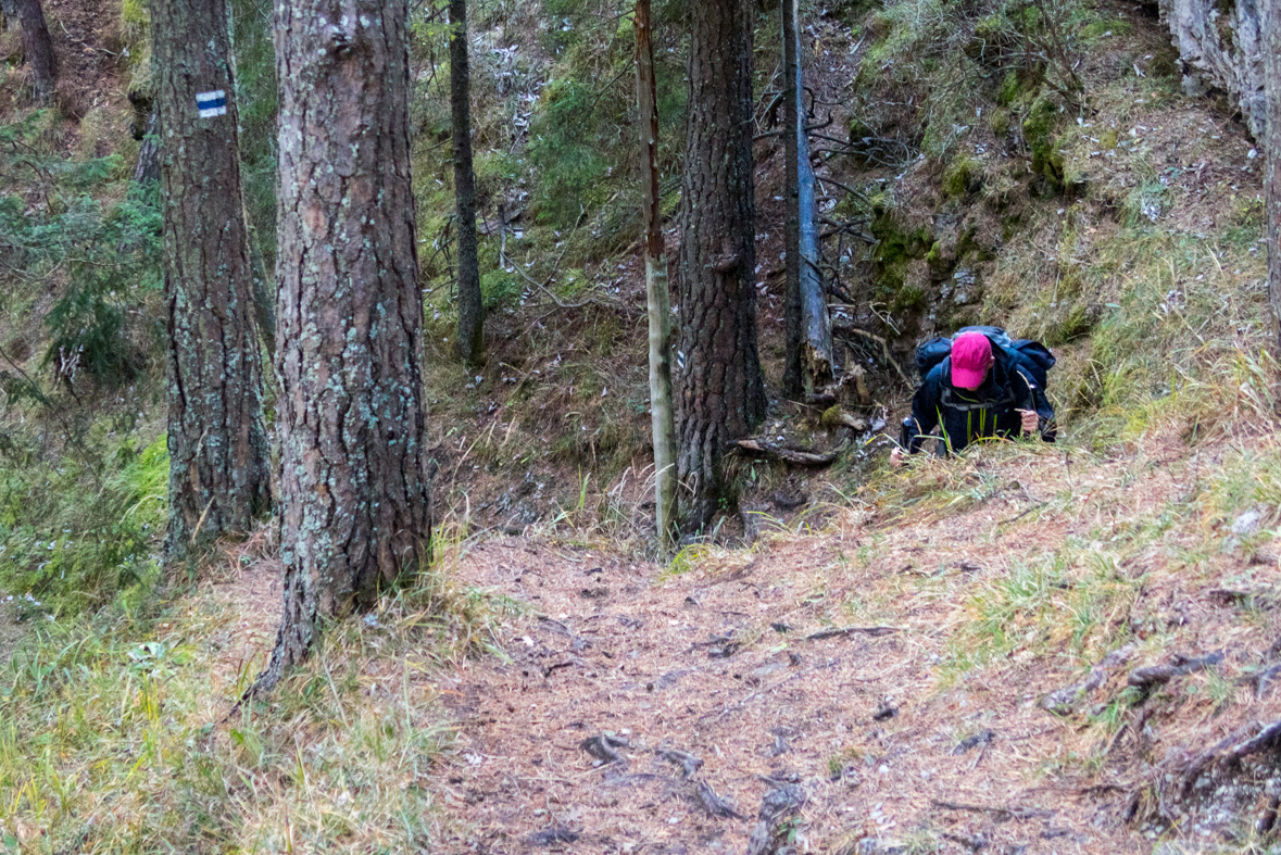 Krakova hoľa z Demänovskej jaskyne slobody (Nízke Tatry)