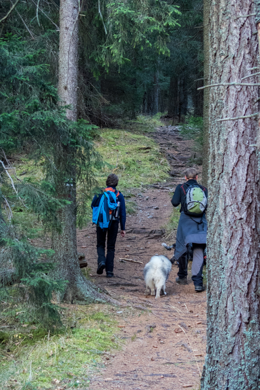 Krakova hoľa z Demänovskej jaskyne slobody (Nízke Tatry)