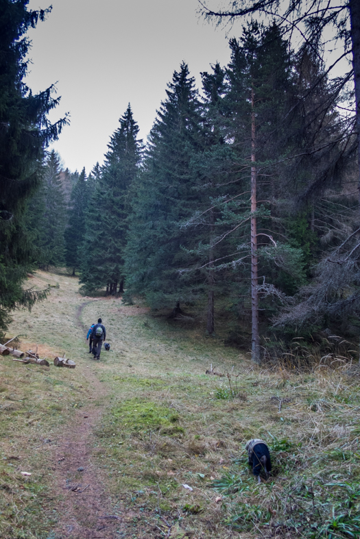 Krakova hoľa z Demänovskej jaskyne slobody (Nízke Tatry)