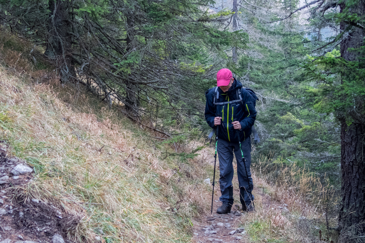 Krakova hoľa z Demänovskej jaskyne slobody (Nízke Tatry)