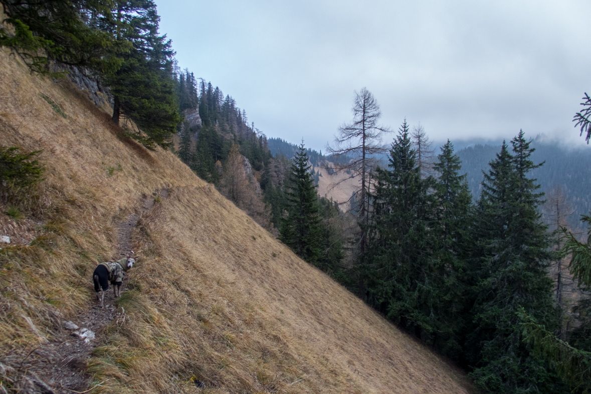 Krakova hoľa z Demänovskej jaskyne slobody (Nízke Tatry)