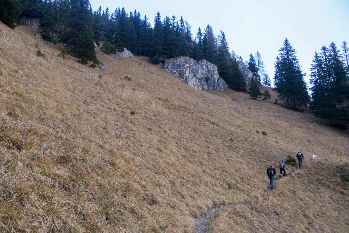 Krakova hoľa z Demänovskej jaskyne slobody (Nízke Tatry)