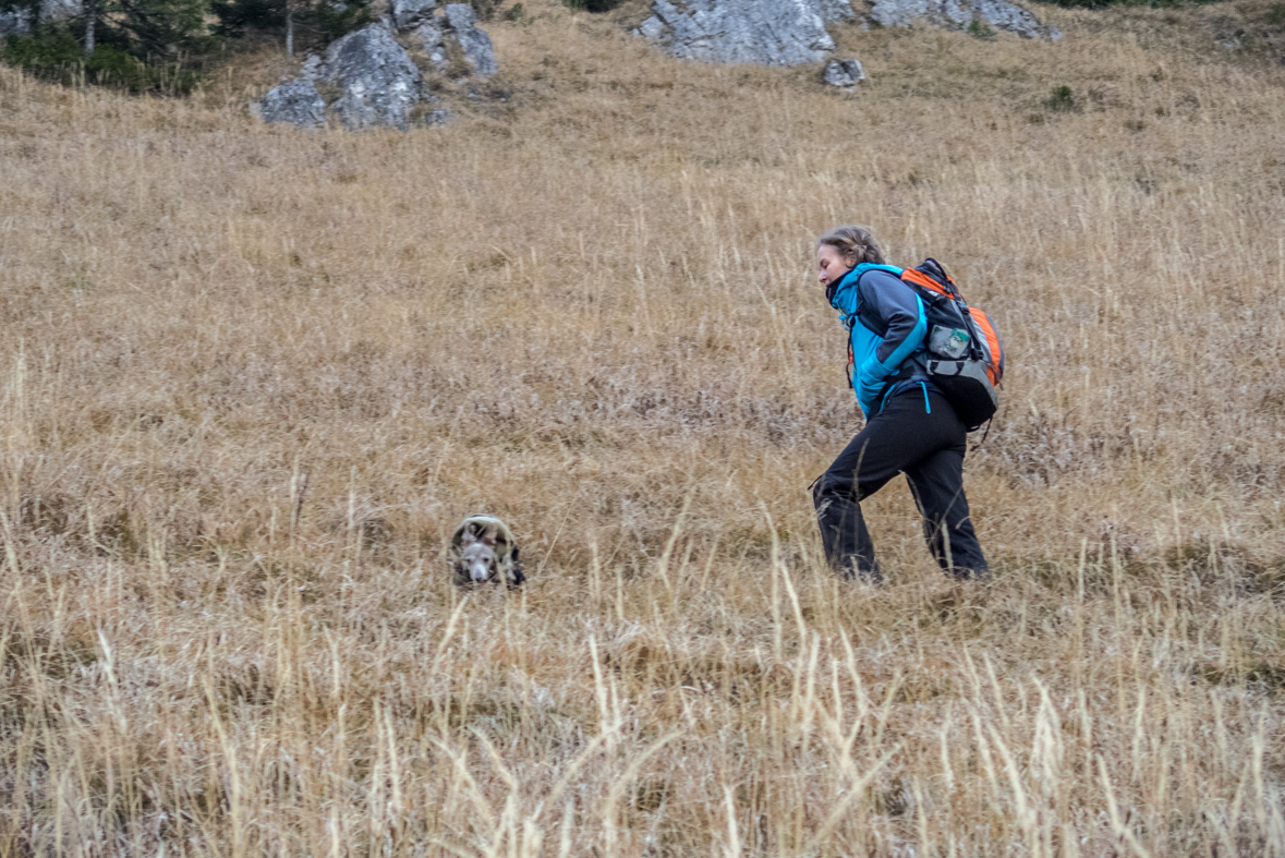 Krakova hoľa z Demänovskej jaskyne slobody (Nízke Tatry)