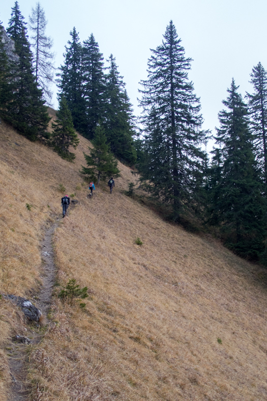 Krakova hoľa z Demänovskej jaskyne slobody (Nízke Tatry)