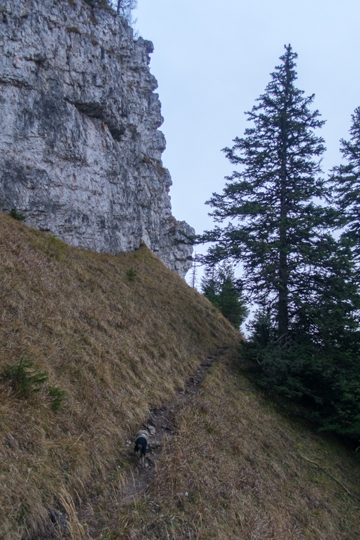 Krakova hoľa z Demänovskej jaskyne slobody (Nízke Tatry)