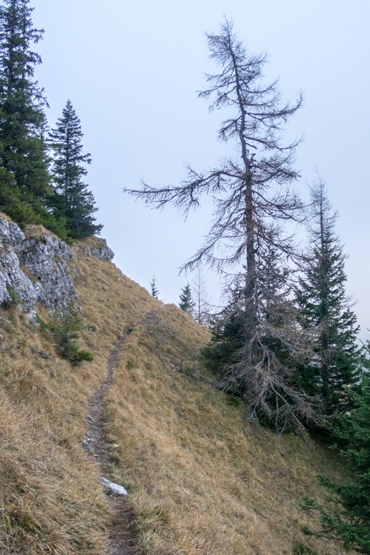 Krakova hoľa z Demänovskej jaskyne slobody (Nízke Tatry)