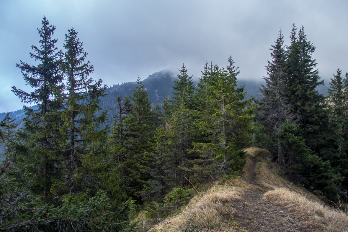 Krakova hoľa z Demänovskej jaskyne slobody (Nízke Tatry)