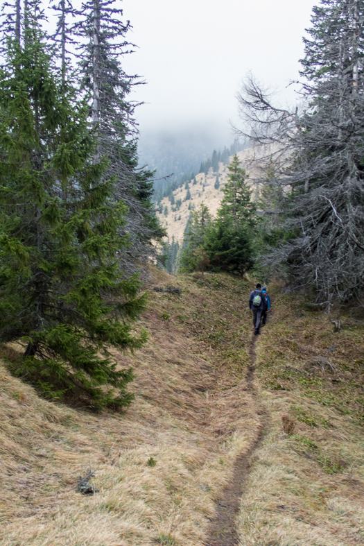 Krakova hoľa z Demänovskej jaskyne slobody (Nízke Tatry)