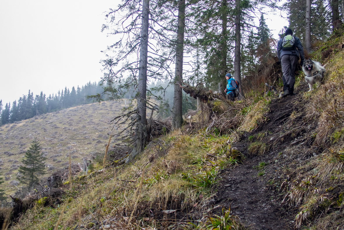 Krakova hoľa z Demänovskej jaskyne slobody (Nízke Tatry)