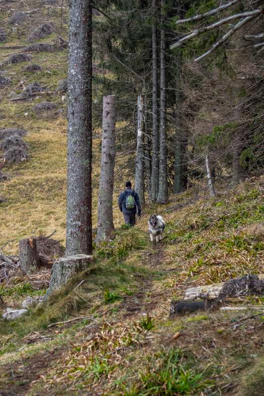 Krakova hoľa z Demänovskej jaskyne slobody (Nízke Tatry)