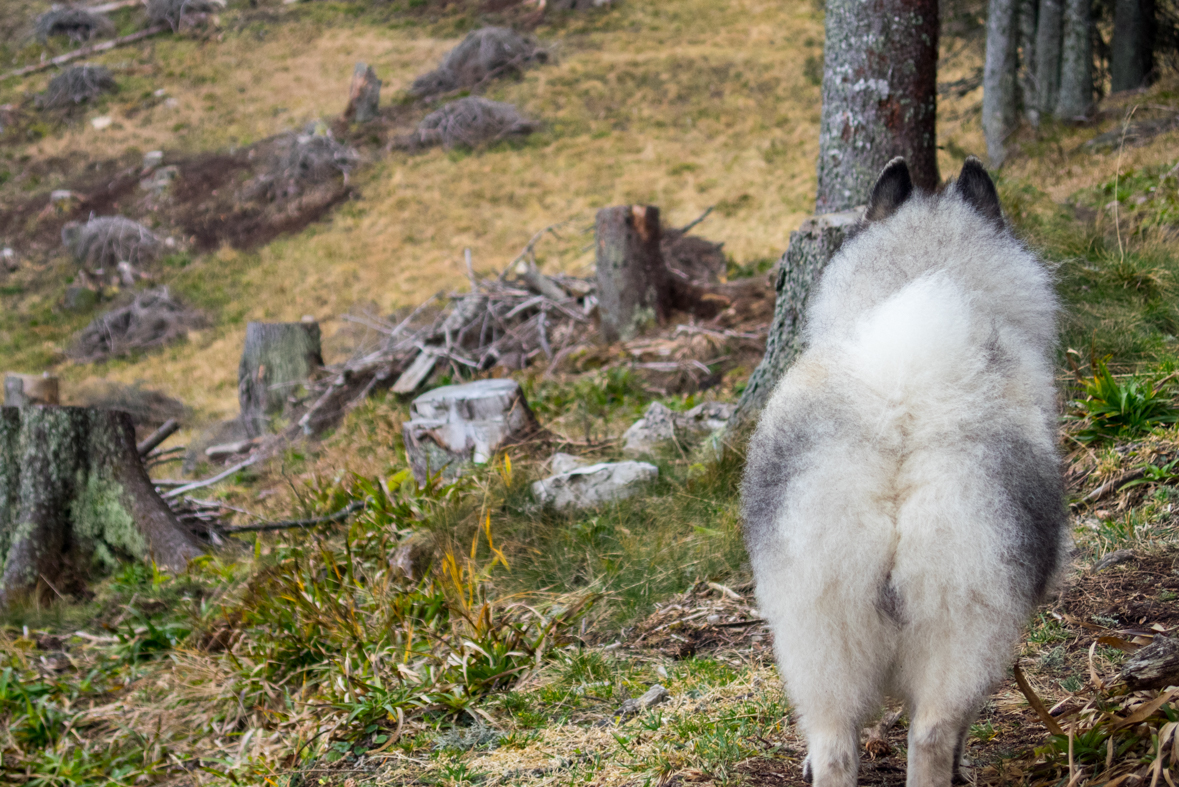 Krakova hoľa z Demänovskej jaskyne slobody (Nízke Tatry)