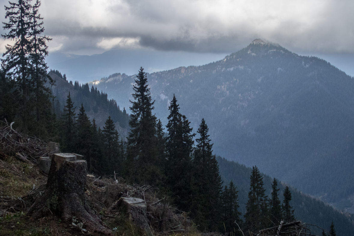 Krakova hoľa z Demänovskej jaskyne slobody (Nízke Tatry)