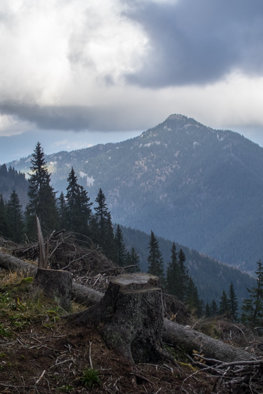 Krakova hoľa z Demänovskej jaskyne slobody (Nízke Tatry)