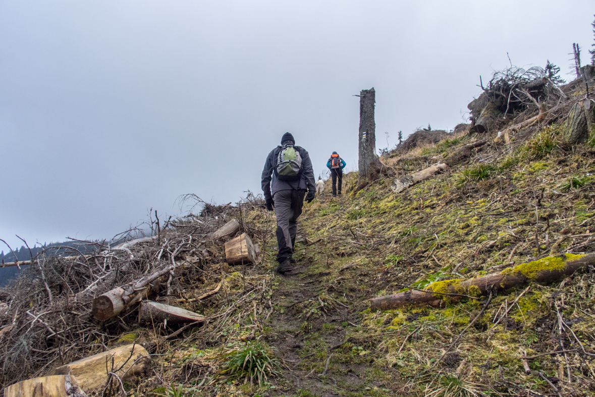 Krakova hoľa z Demänovskej jaskyne slobody (Nízke Tatry)