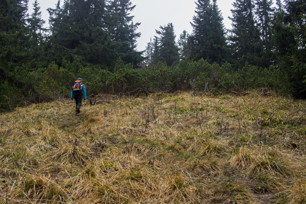 Krakova hoľa z Demänovskej jaskyne slobody (Nízke Tatry)