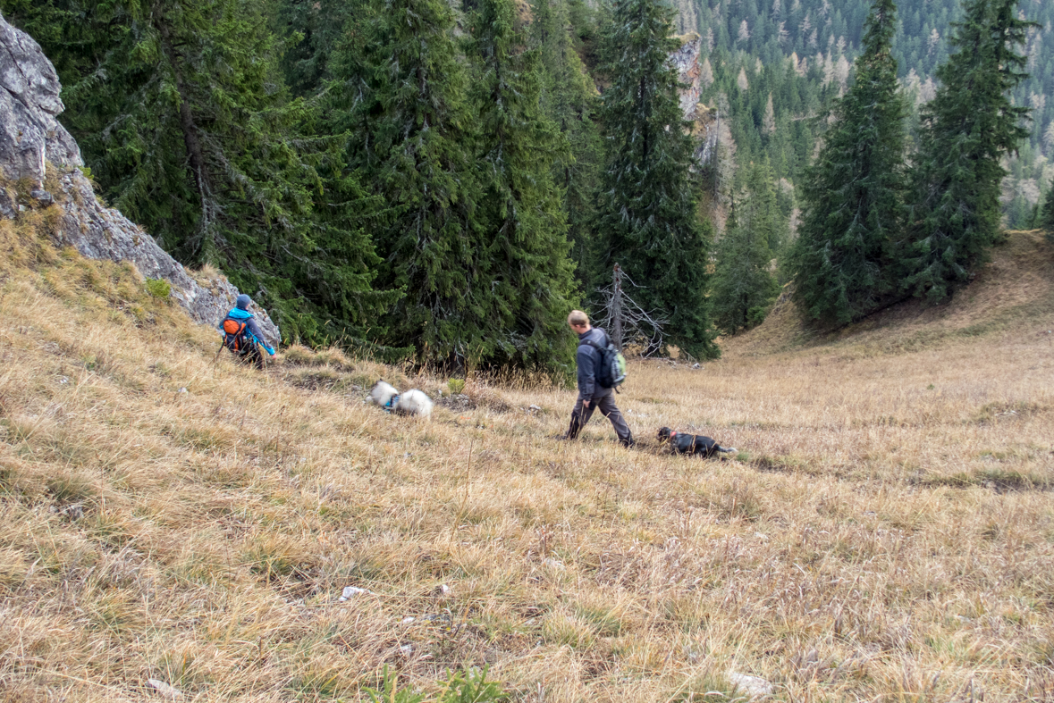 Krakova hoľa z Demänovskej jaskyne slobody (Nízke Tatry)