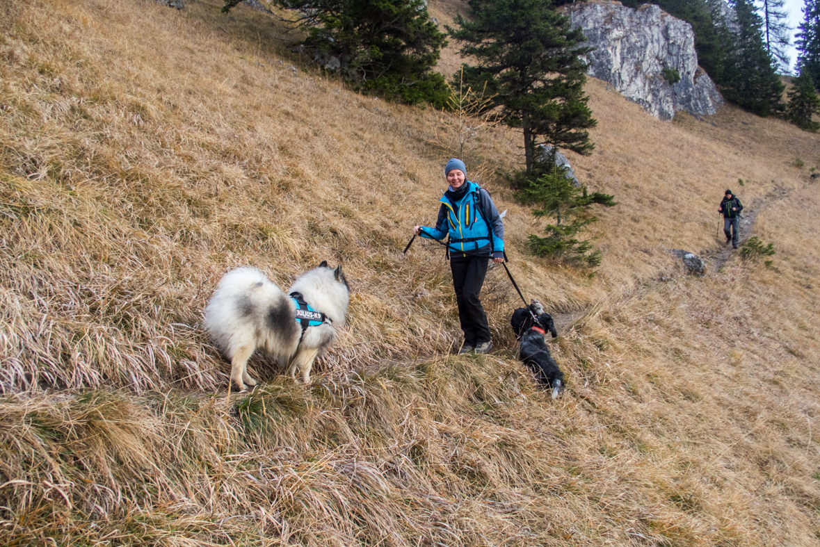 Krakova hoľa z Demänovskej jaskyne slobody (Nízke Tatry)