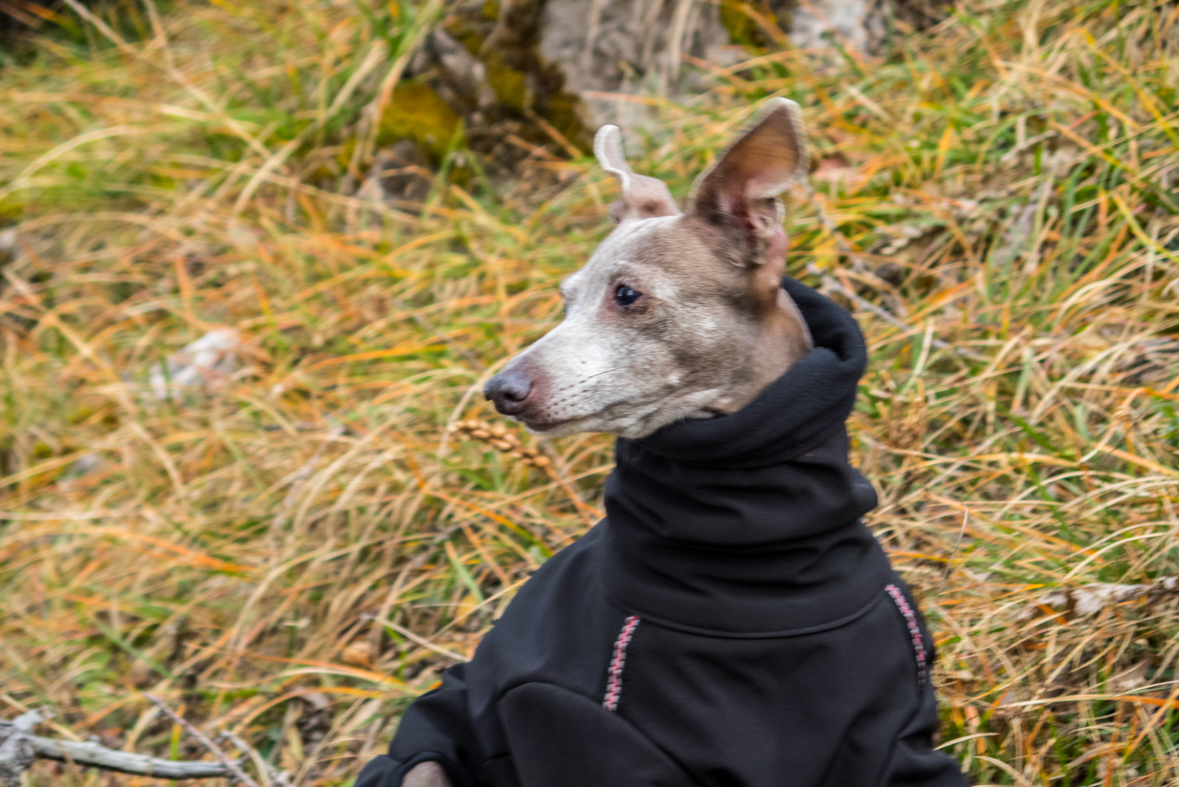 Krakova hoľa z Demänovskej jaskyne slobody (Nízke Tatry)